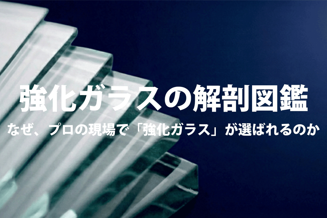 強化ガラスの解剖図鑑